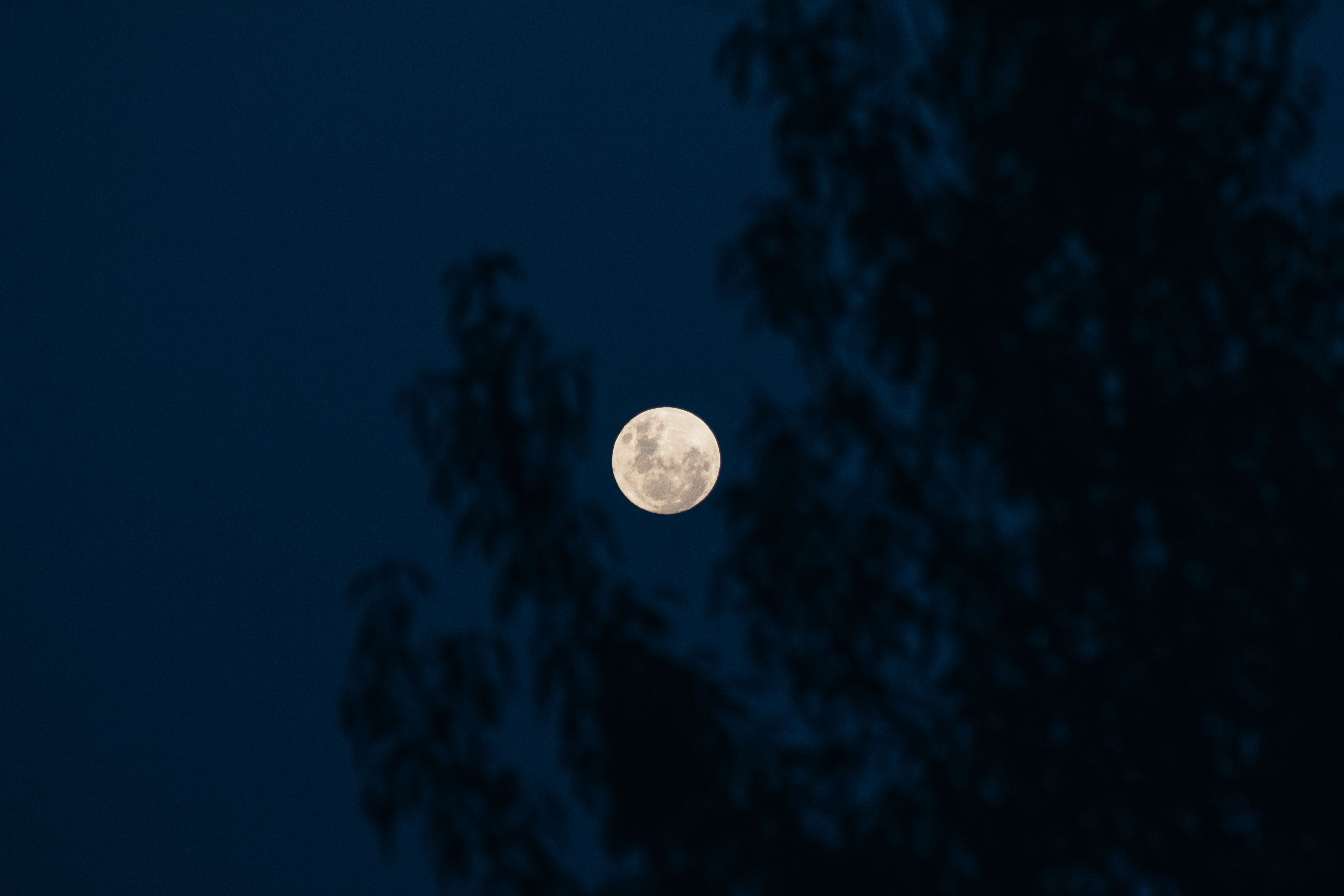 full-moon.jpg
